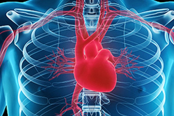 Cardiologia Interventistica